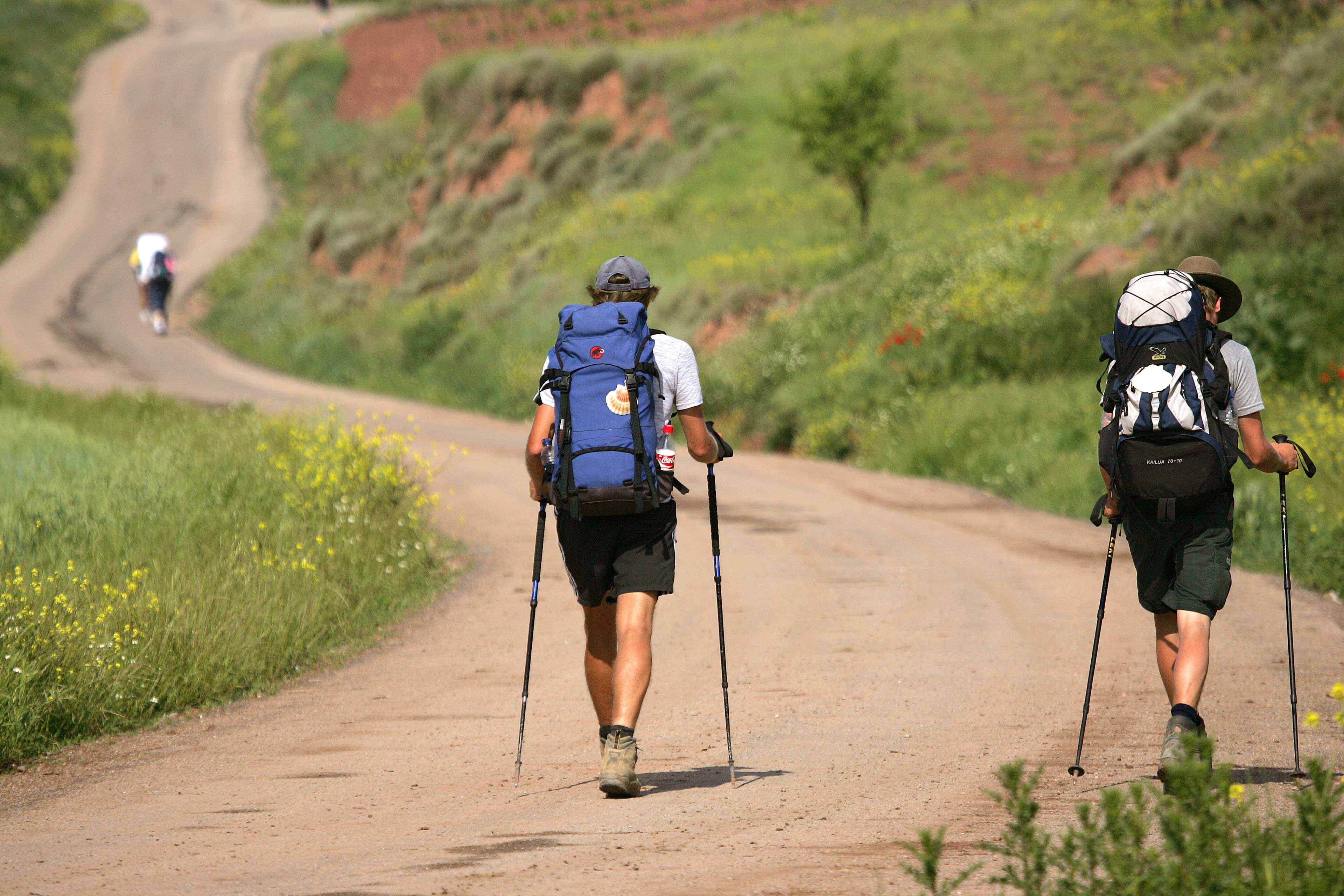 Camino de Santiago