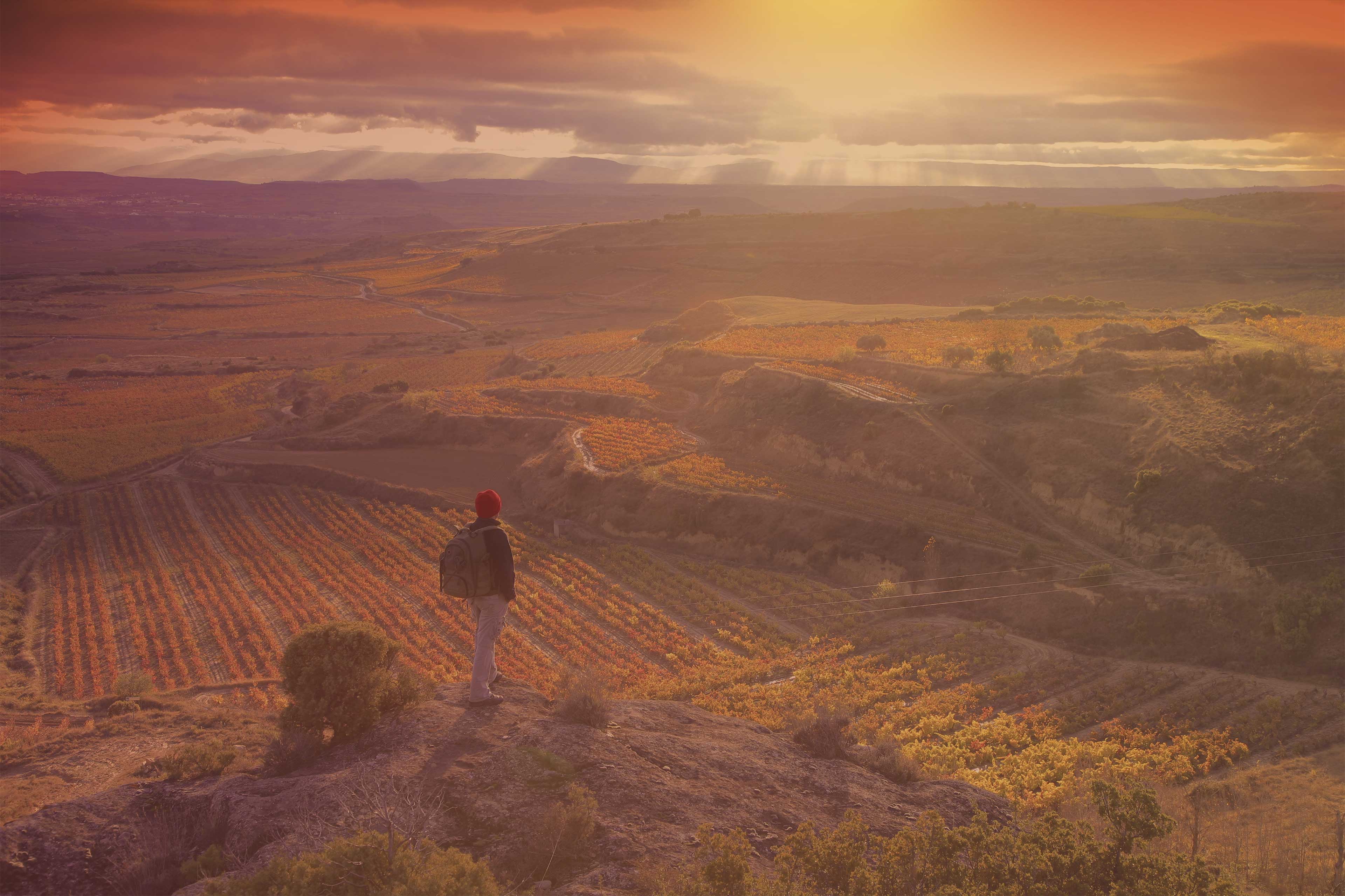 Asociación de campings La Rioja