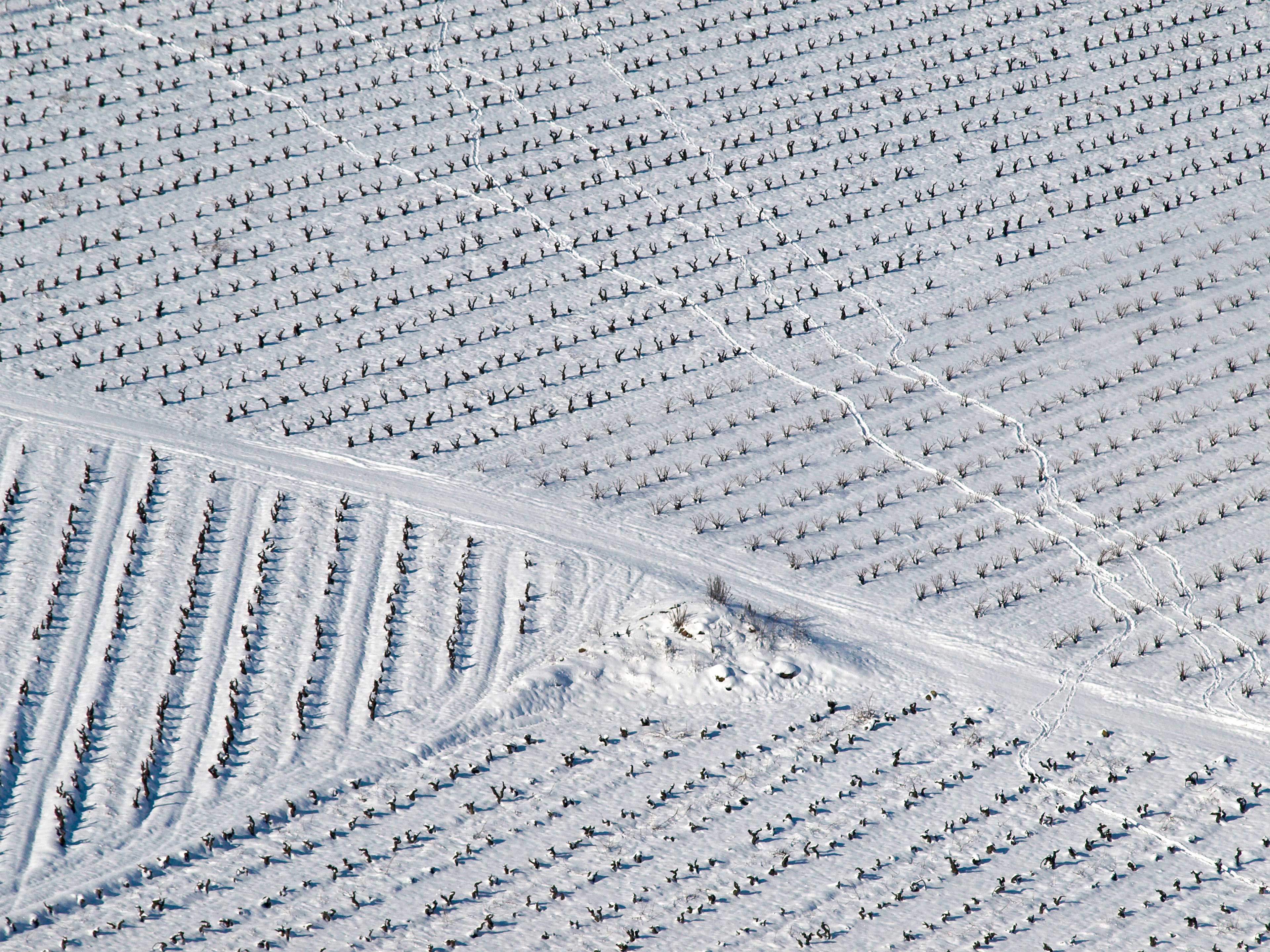 Información y Contacto - Campings La Rioja
