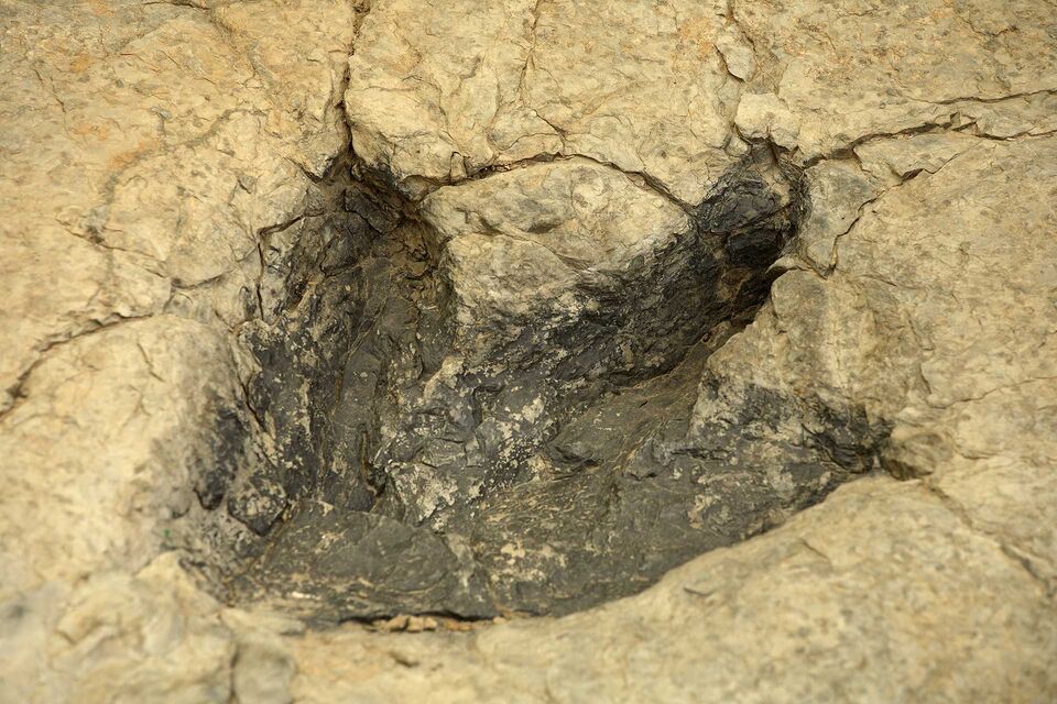 Huellas de dinosaurios